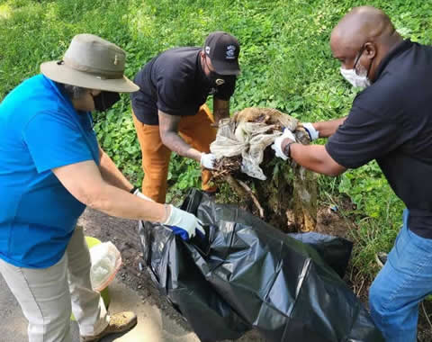 Community Cleanup